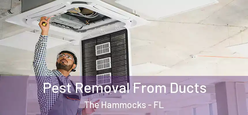  Pest Removal From Ducts The Hammocks - FL