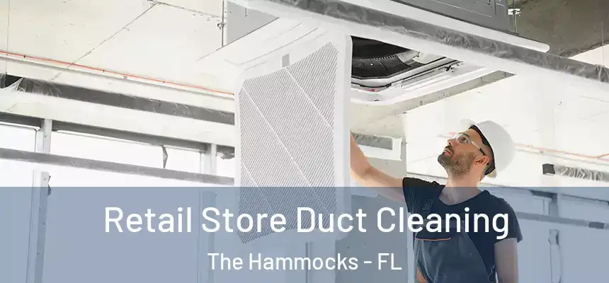 Retail Store Duct Cleaning The Hammocks - FL