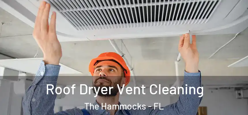 Roof Dryer Vent Cleaning The Hammocks - FL