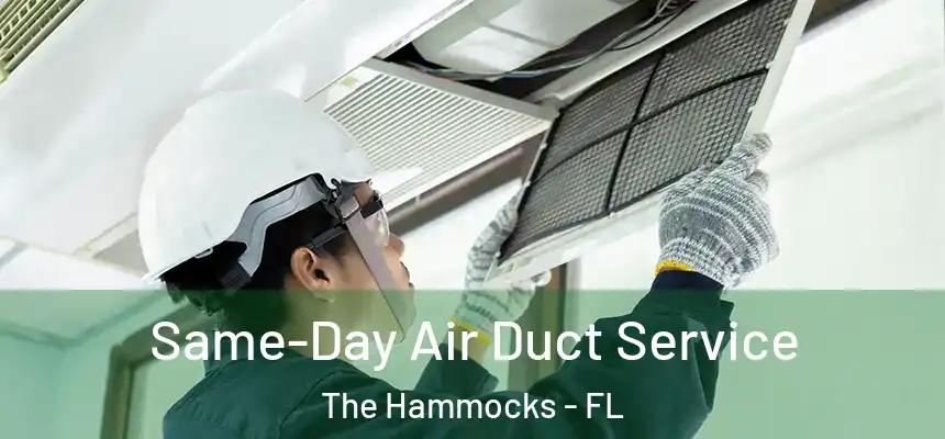 Same-Day Air Duct Service The Hammocks - FL