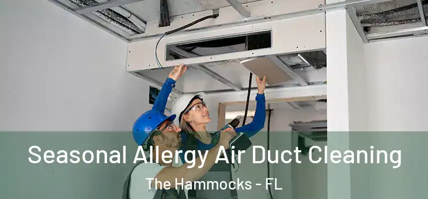 Seasonal Allergy Air Duct Cleaning The Hammocks - FL