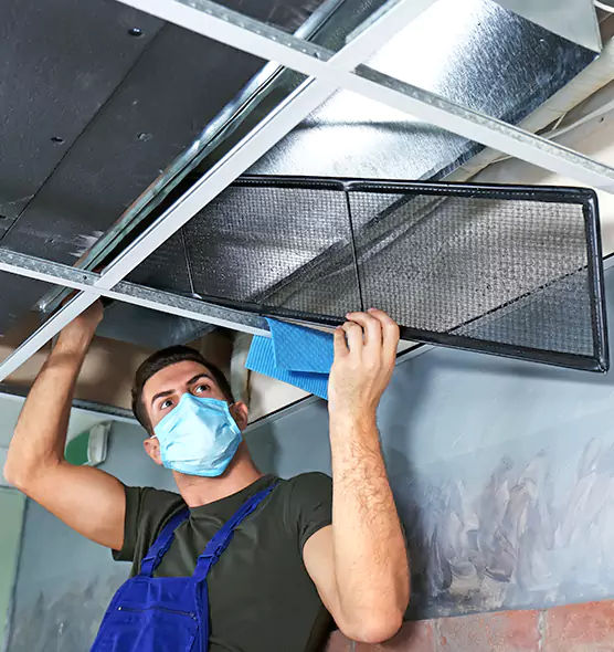 About Air Duct Bacteria Removal in The Hammocks