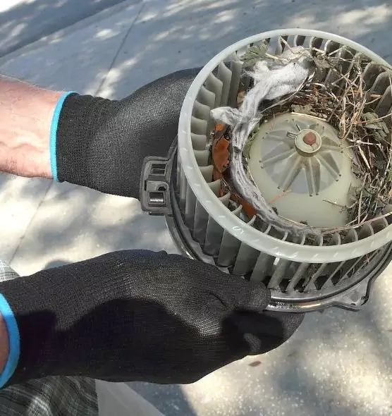 About Air Duct Mice Removal in The Hammocks, FL