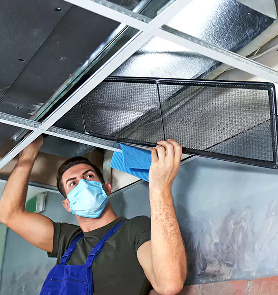 Professional Air Duct Pollen Cleaning in The Hammocks, FL