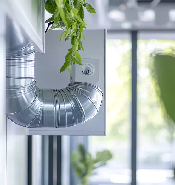 Professional Eco-Safe Dryer Vent Cleaning in The Hammocks, FL