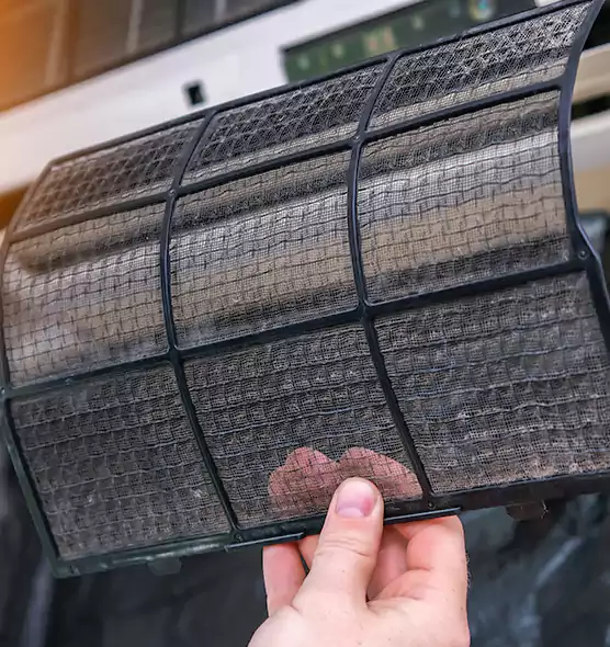 About Pet Dander Duct Cleaning in The Hammocks, FL