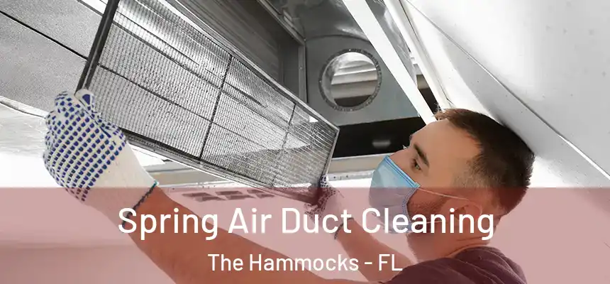  Spring Air Duct Cleaning The Hammocks - FL