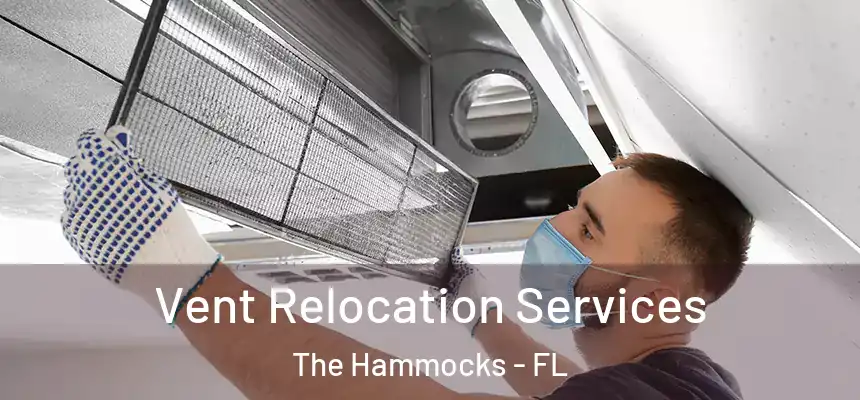 Vent Relocation Services The Hammocks - FL